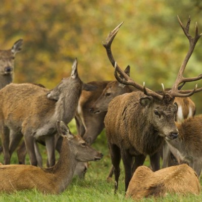 Tours to Fountains Abbey