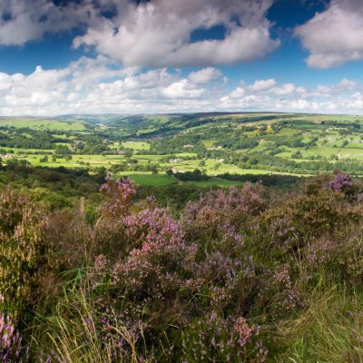 Yorkshire Dales in mid summer