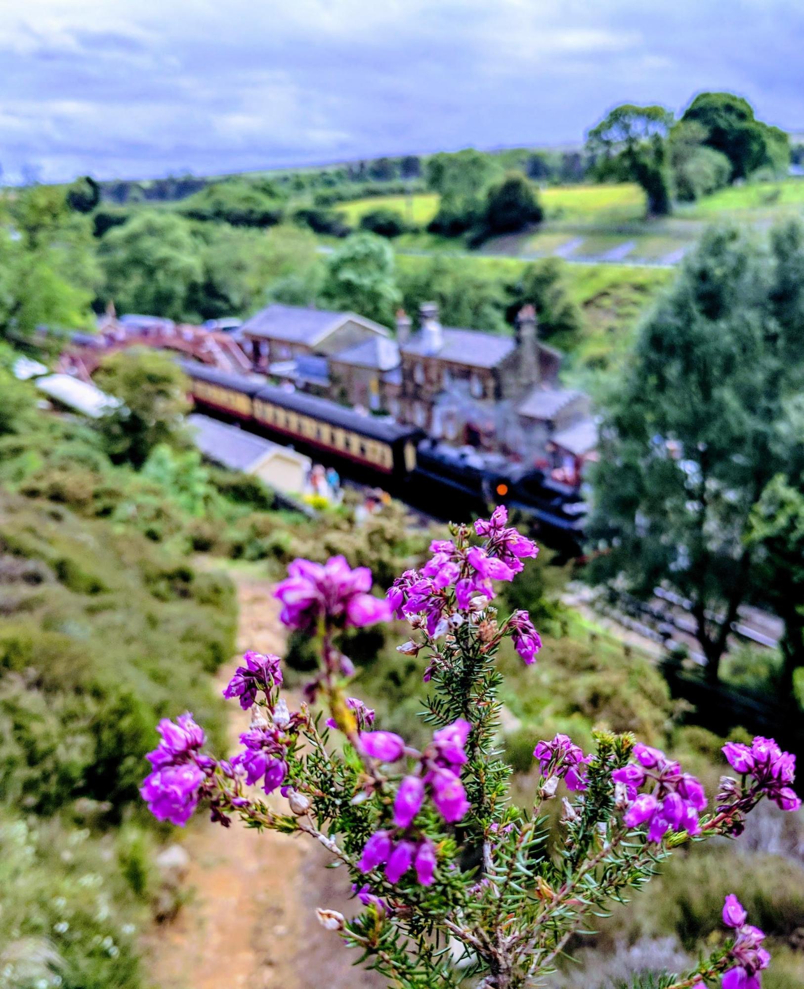 Afternoon & Evening in the Moors
