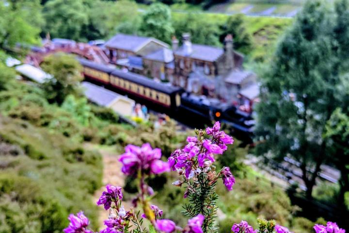 Afternoon & Evening in the Moors