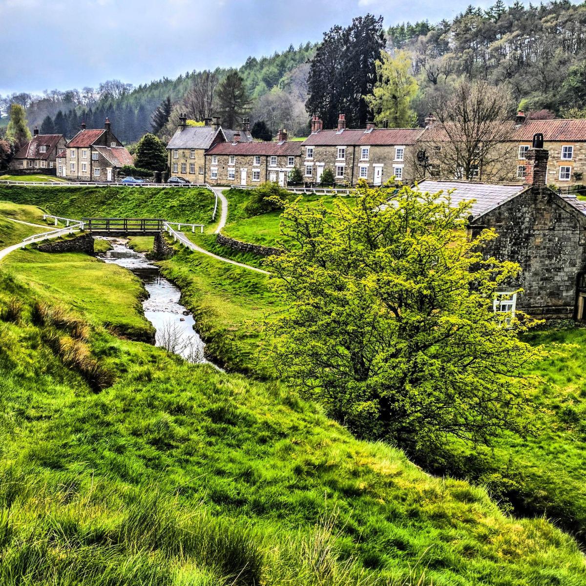 Afternoon & Evening in the Moors