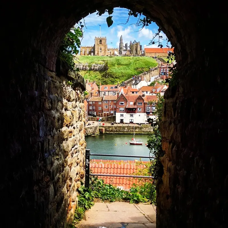 Afternoon & Evening in the Moors
