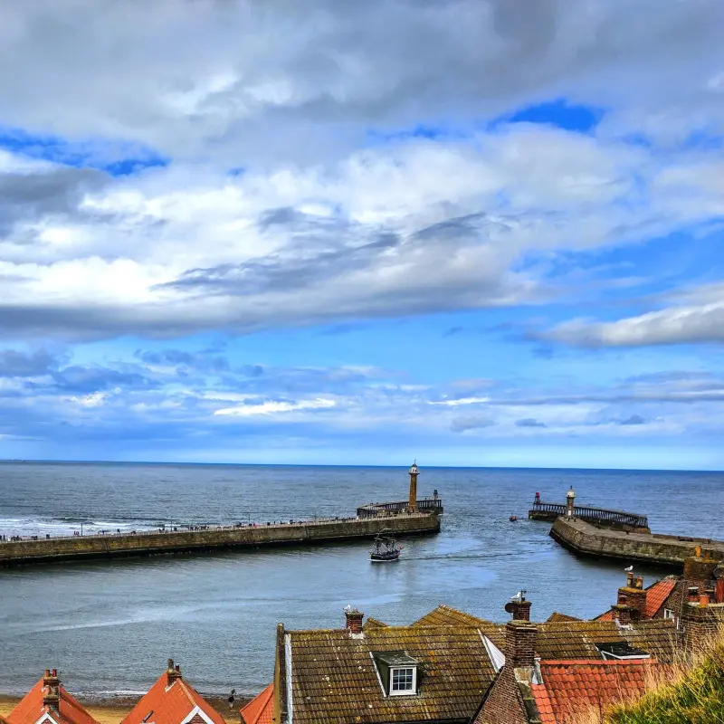 Afternoon & Evening in the Moors