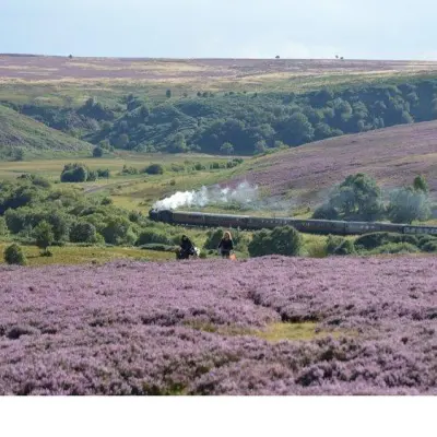 Steam Trains, Whitby & the Moors
