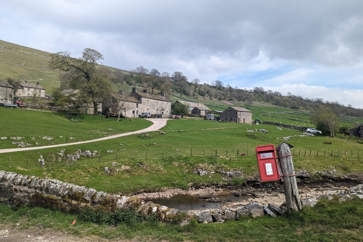 a herd of sheep standing on top of a grass covered field