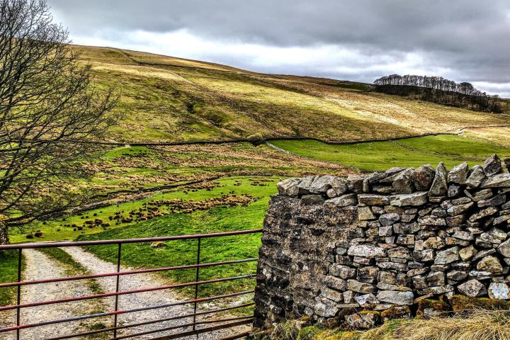Yorkshire Dales & Fountains Abbey