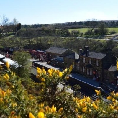 Whitby, Goathland & the North York Moors Image 6