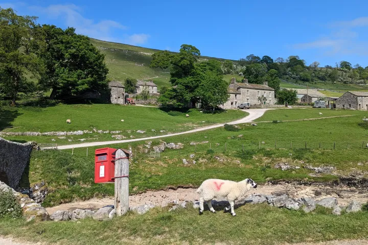 a house with a grass field