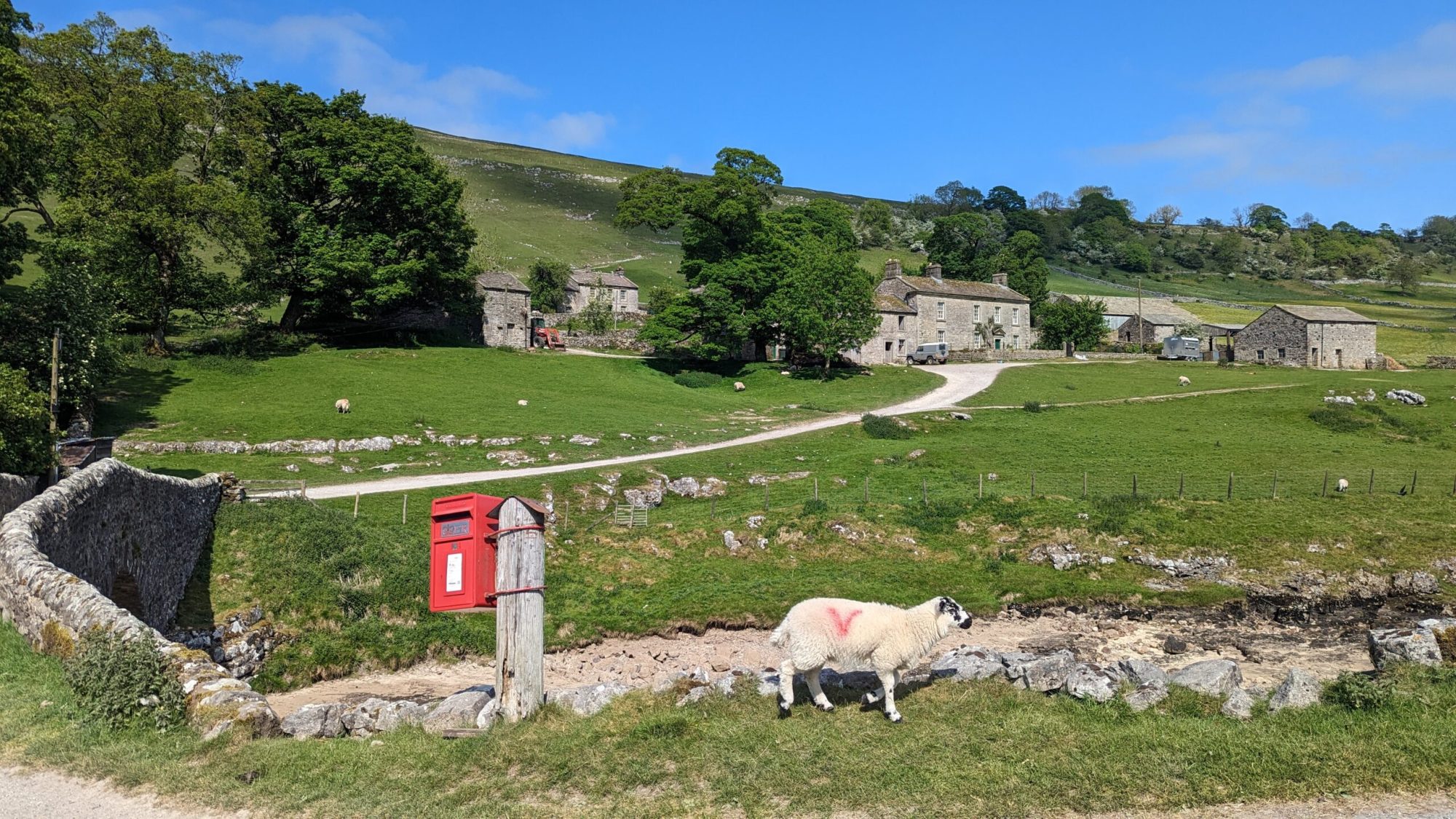 a house with a grass field