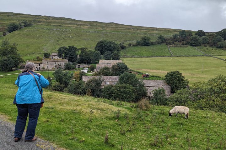 photo opportunity at the Alderson's Farm